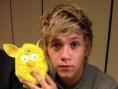/album/fotogaleria-one-direction/images-12-jpg/